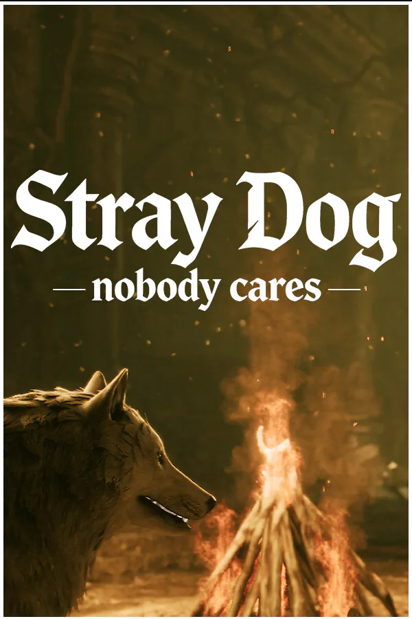 Copertina di Stray Dog: nobody cares