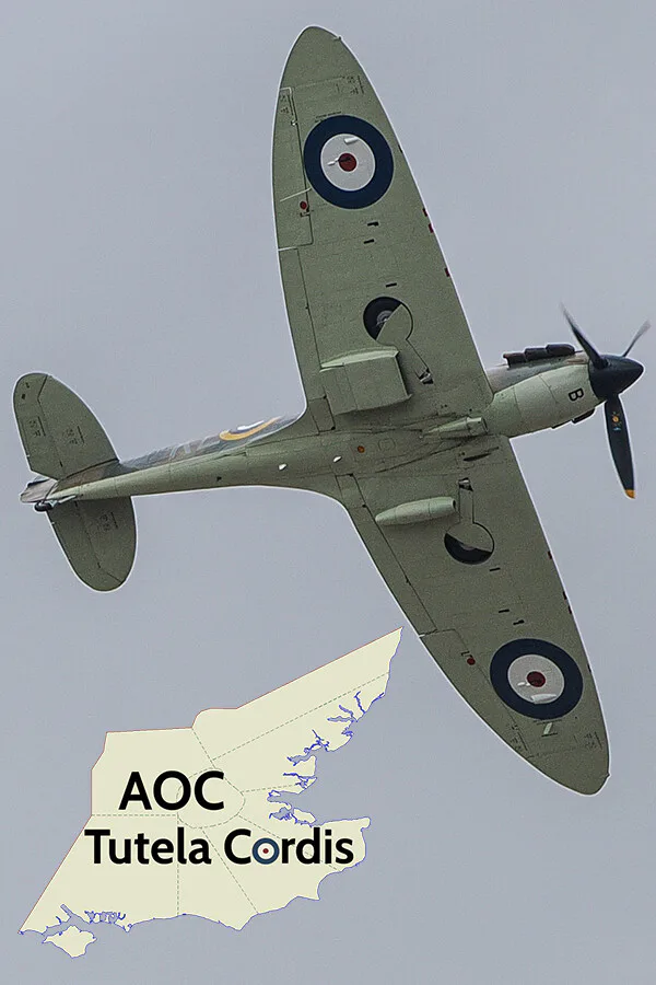 Copertina di AOC Tutela Cordis