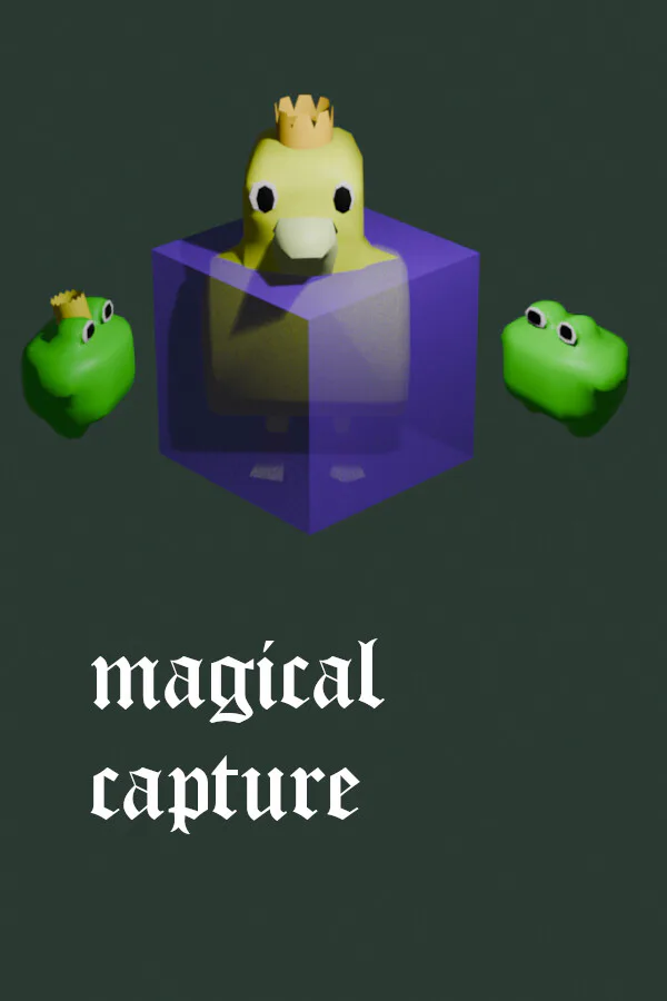 Copertina di magical capture
