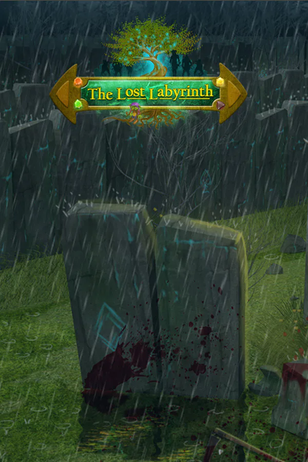 Copertina di The lost Labyrinth