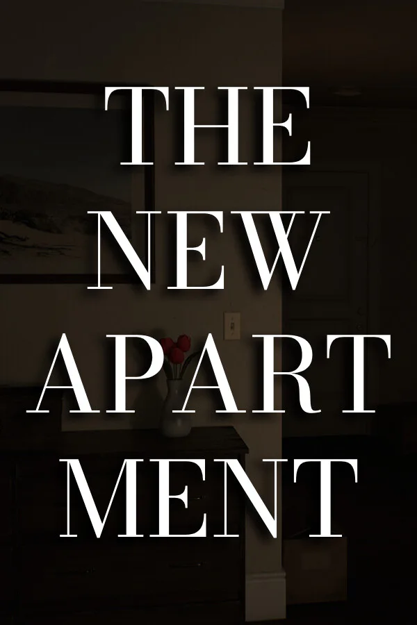 Copertina di The New Apartment