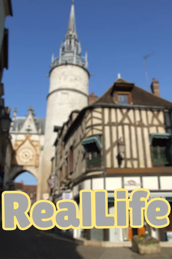 Copertina di RealLife