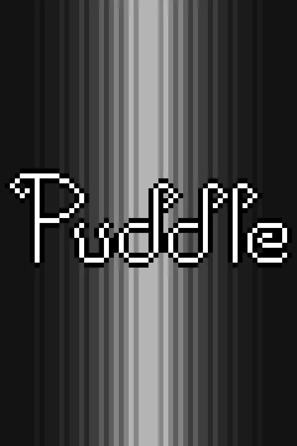 Copertina di Puddle