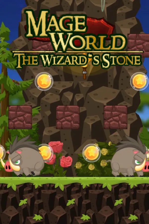 Copertina di Mage World - The Wizard's Stone