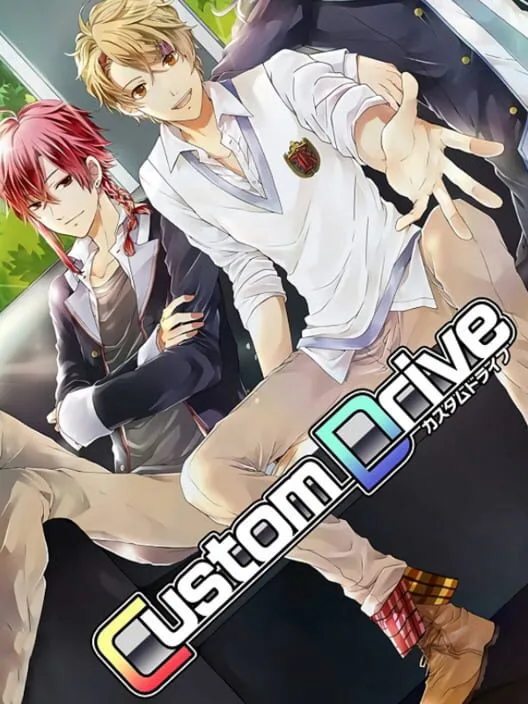 Copertina di Custom Drive