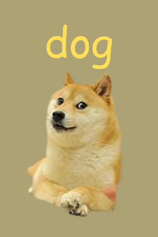 Copertina di Dog