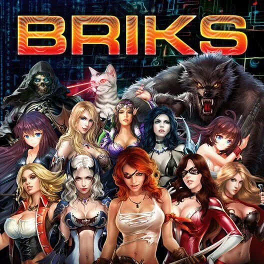 Copertina di BRIKS