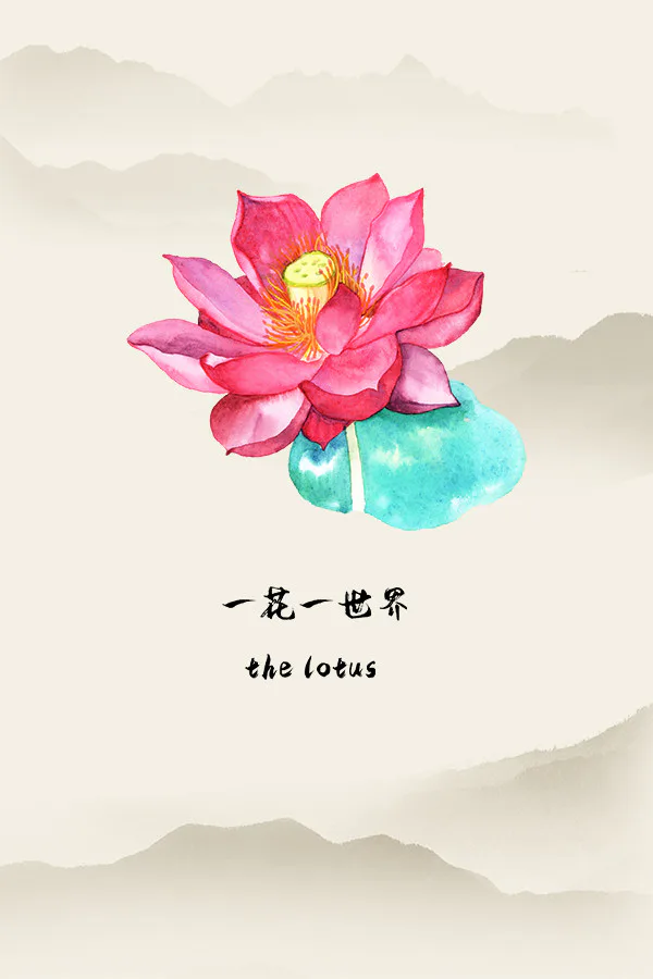 Copertina di 一花一世界 | The Lotus