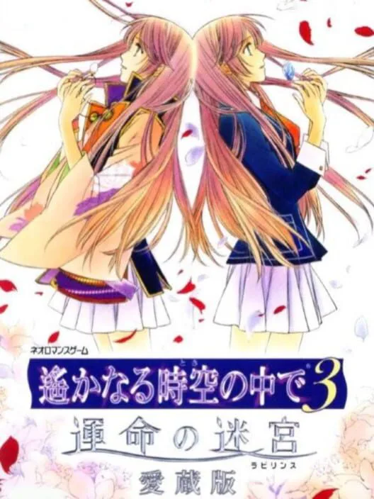 Copertina di Harukanaru Toki no Naka De 3: Unmei no Labyrinth Aizouban
