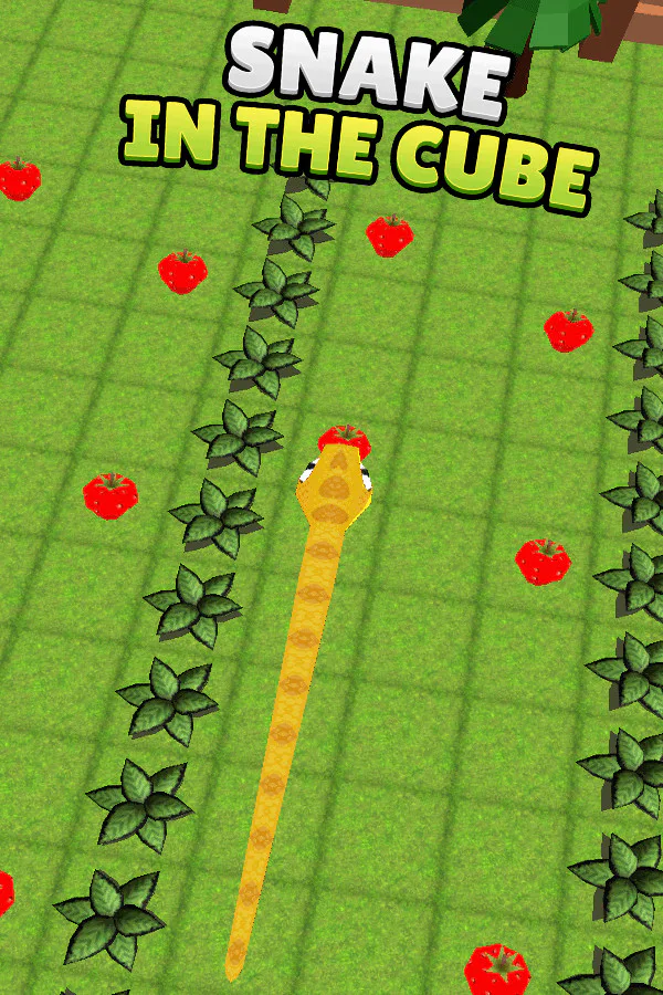 Copertina di Snake In The Cube