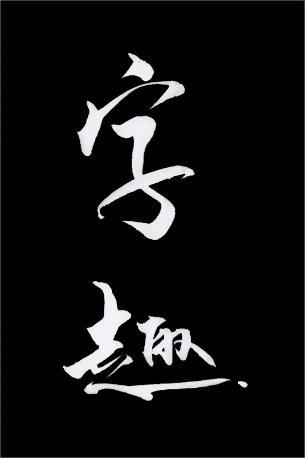 Copertina di 字趣