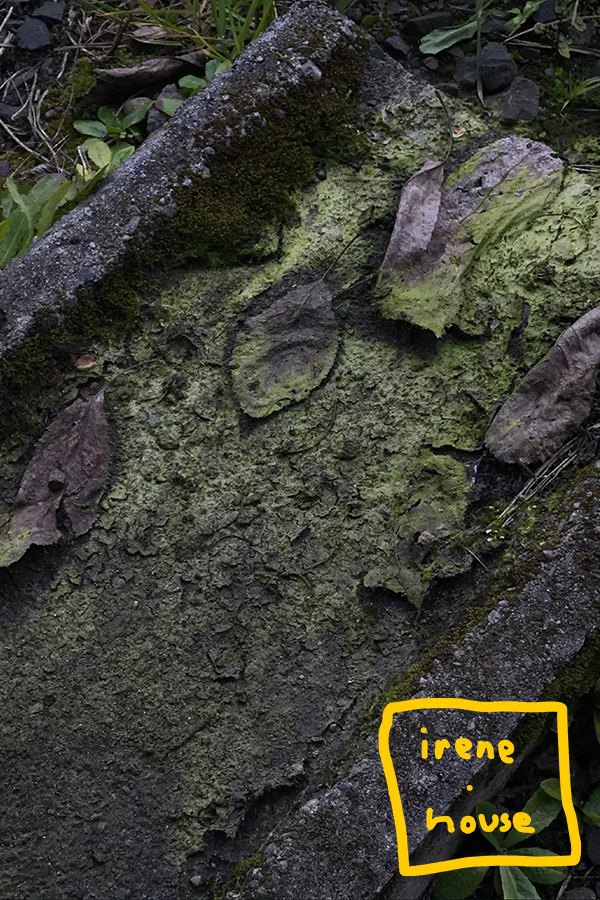 Copertina di IRENE.HOUSE