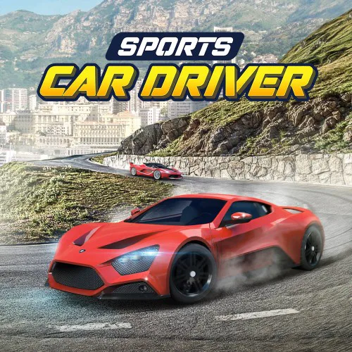 Copertina di Sports Car Driver