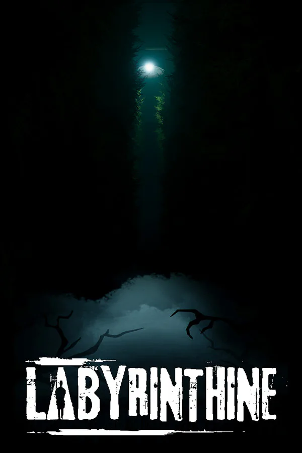Copertina di Labyrinthine