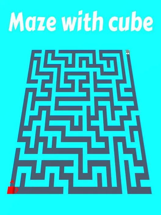 Copertina di Maze with cube
