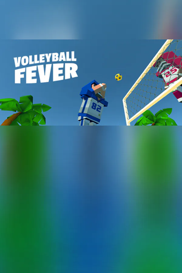 Copertina di Volleyball Fever