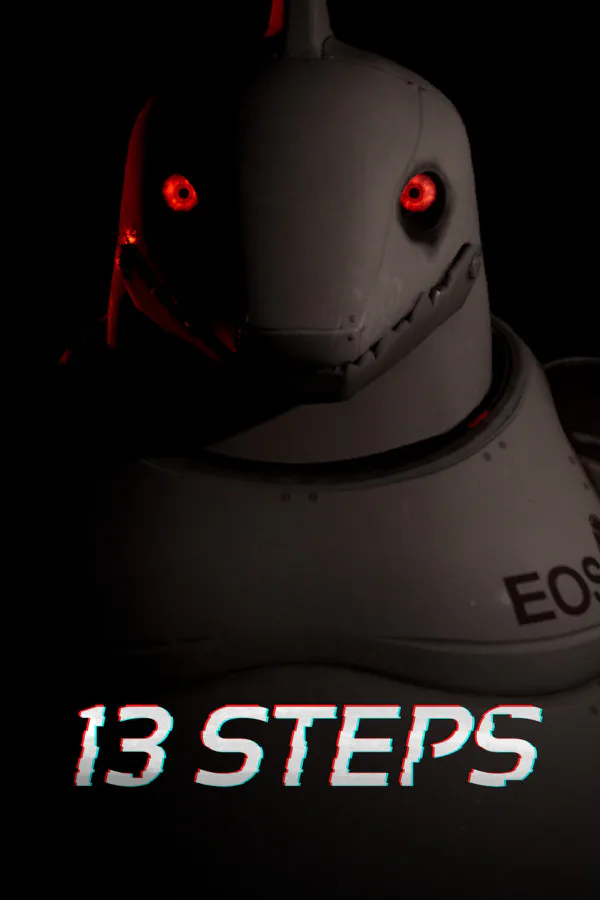 Copertina di 13 Steps
