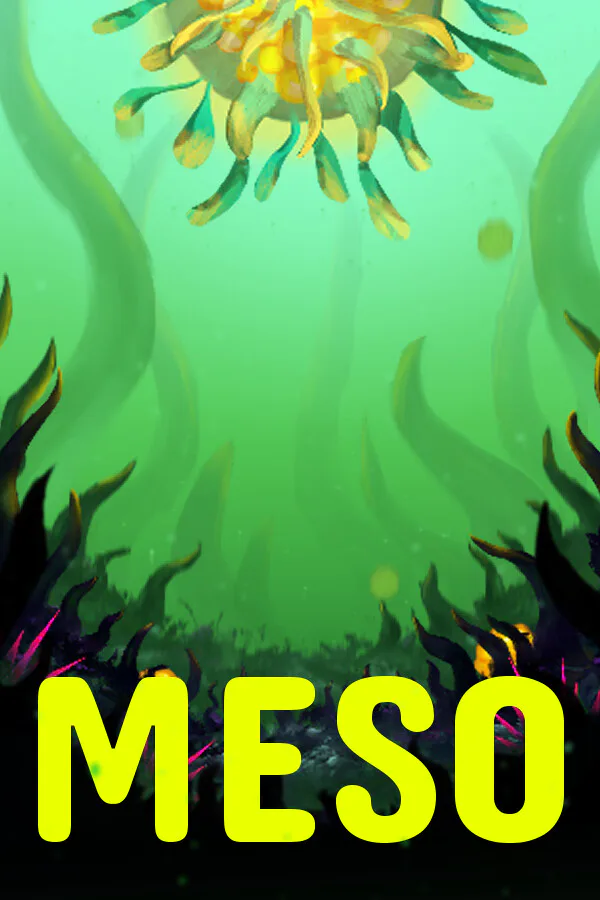 Copertina di MESO