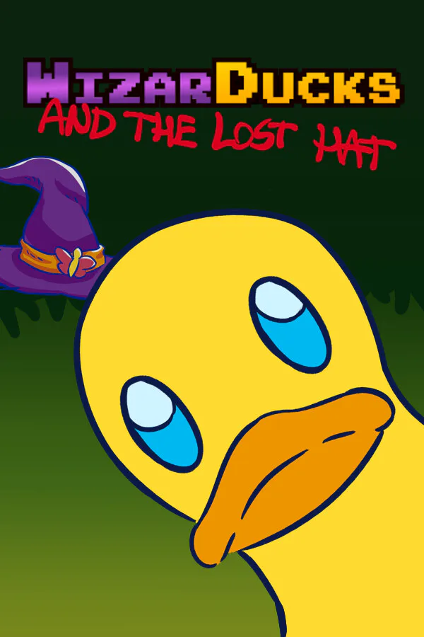 Copertina di Wizarducks and the Lost Hat