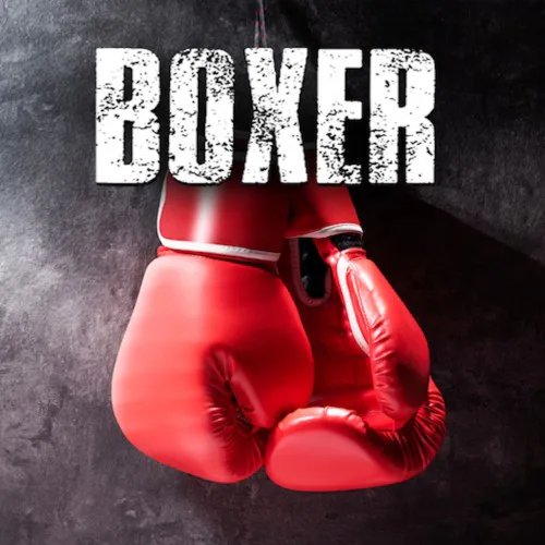Copertina di Boxer