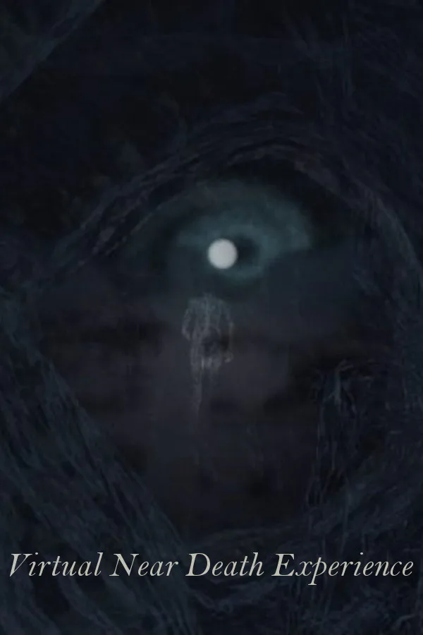 Copertina di Virtual Near Death Experience