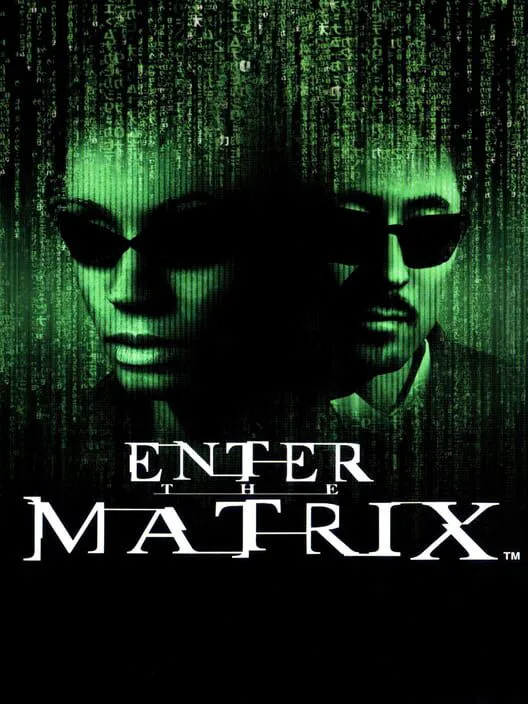 Copertina di Enter The Matrix