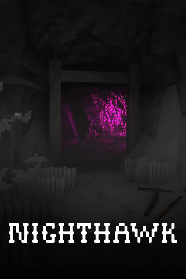 Copertina di Falco notturno