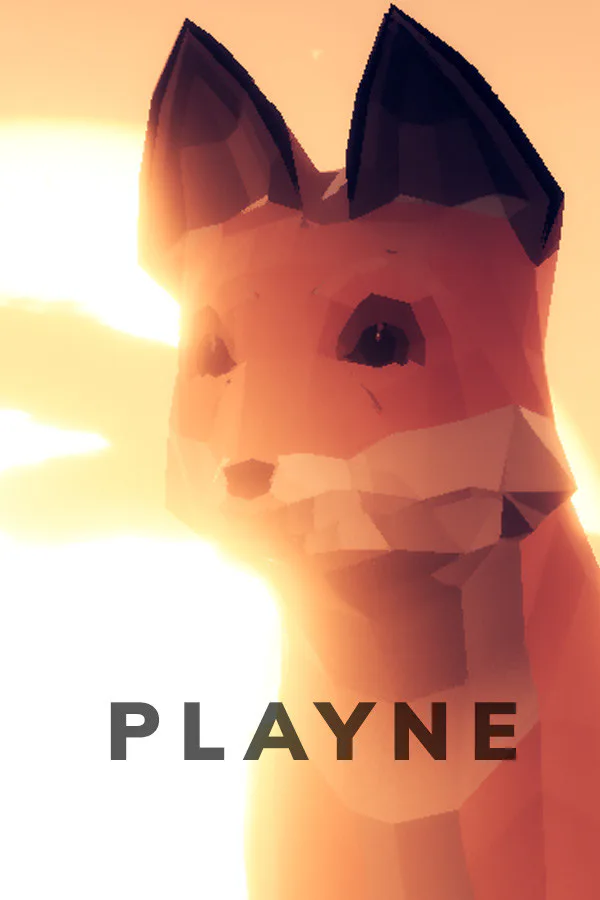 Copertina di PLAYNE : The Meditation Game