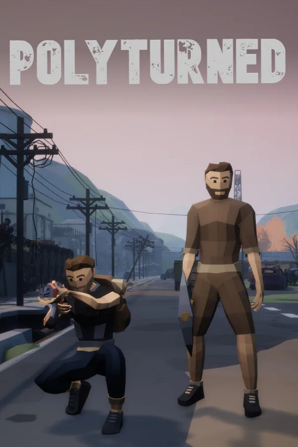Copertina di Polyturned