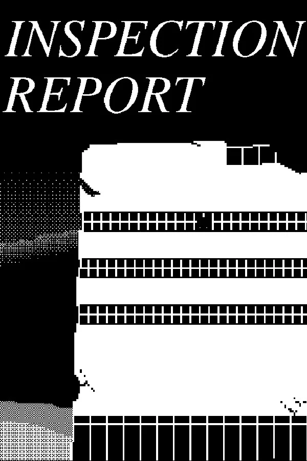 Copertina di INSPECTION REPORT