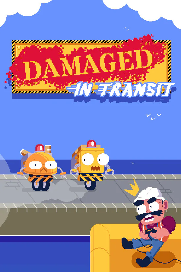 Copertina di Damaged In Transit