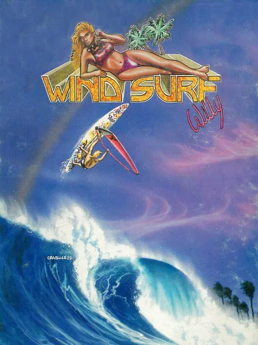Copertina di Wind Surf Willy