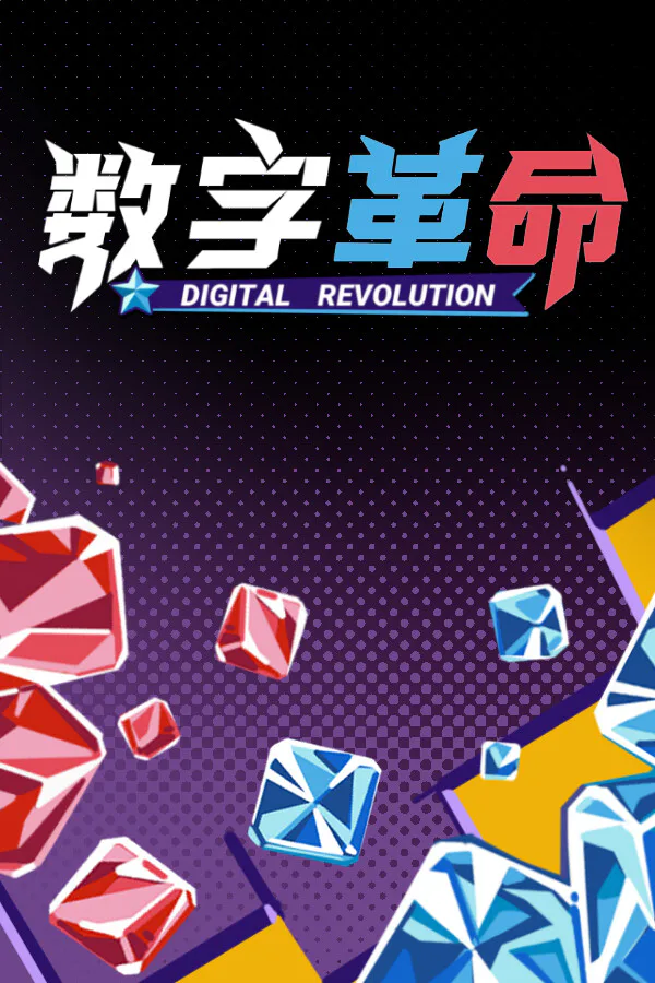 Copertina di 数字革命