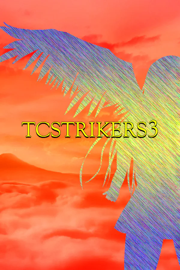Copertina di TCSTRIKERS3