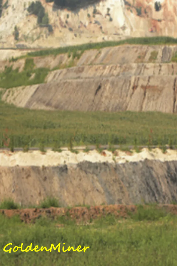 Copertina di GoldenMiner