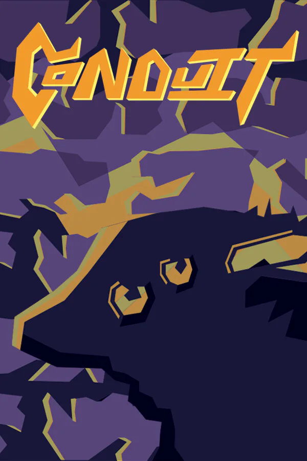 Copertina di Conduit
