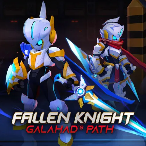 Copertina di Fallen Knight