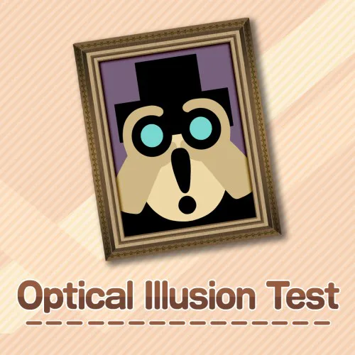 Copertina di Optical Illusion Test