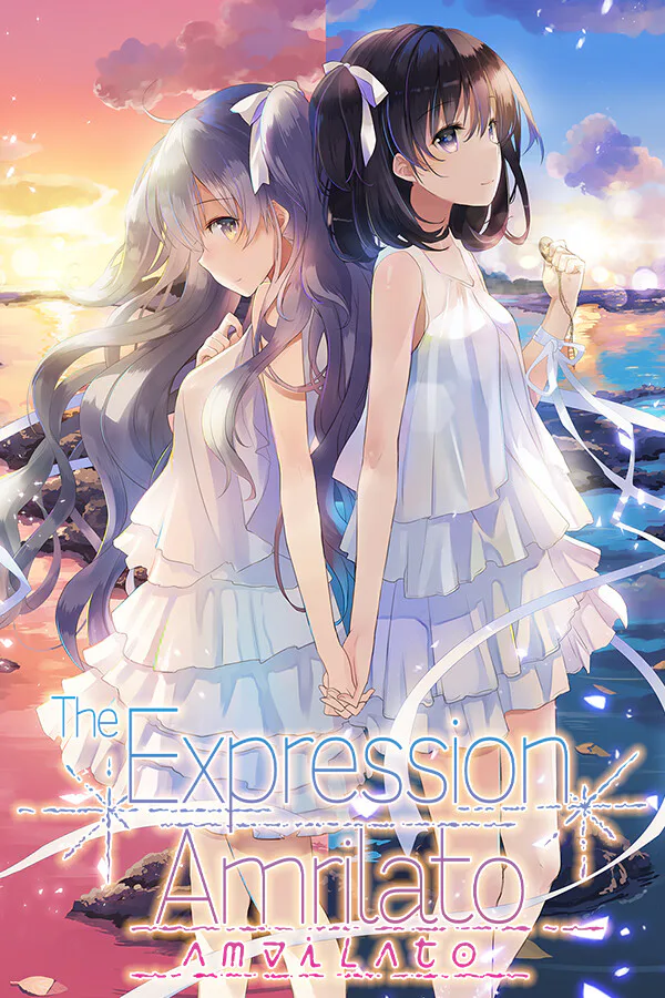 Copertina di The Expression Amrilato