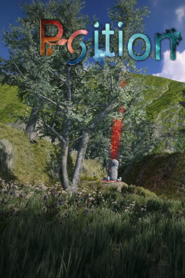 Copertina di Position