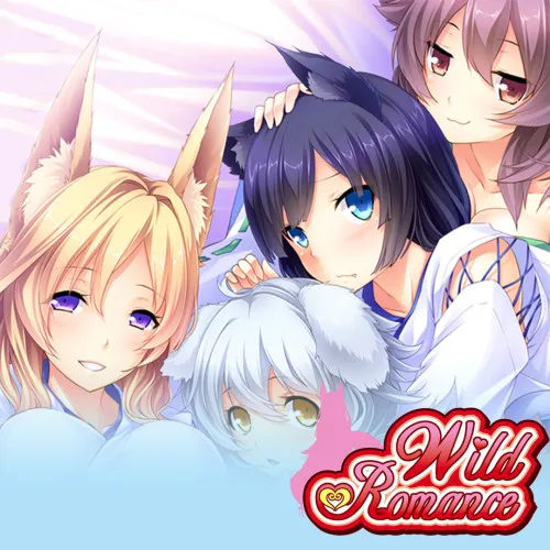 Copertina di Wild Romance