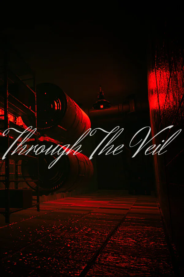 Copertina di Through The Veil