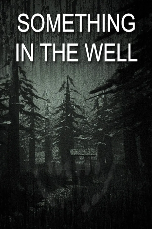 Copertina di Something In The Well