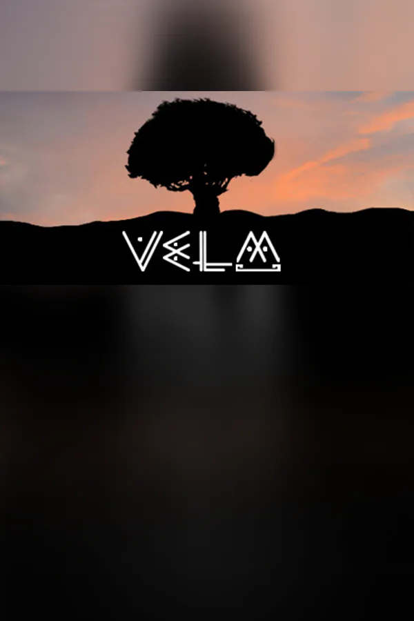 Copertina di VeLM