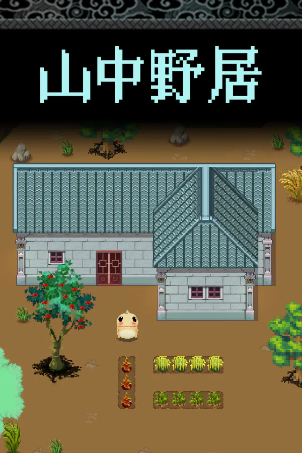 Copertina di 山中野居 Live In The Country