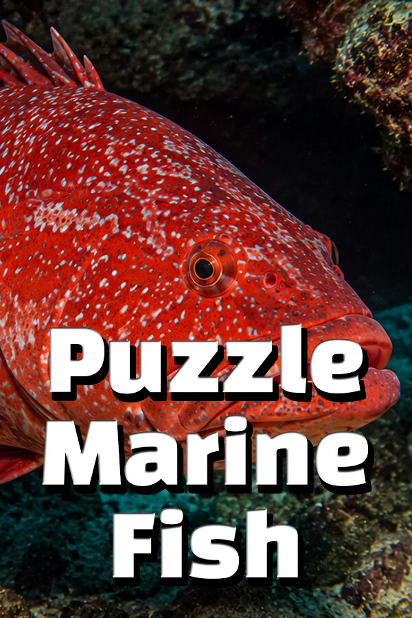 Copertina di Puzzle Marine Fish