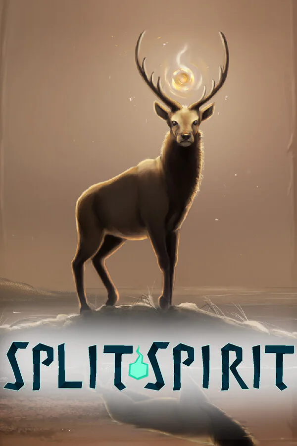 Copertina di Split Spirit