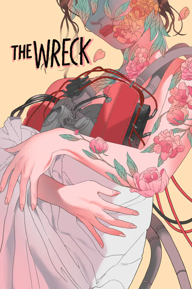 Copertina di The Wreck