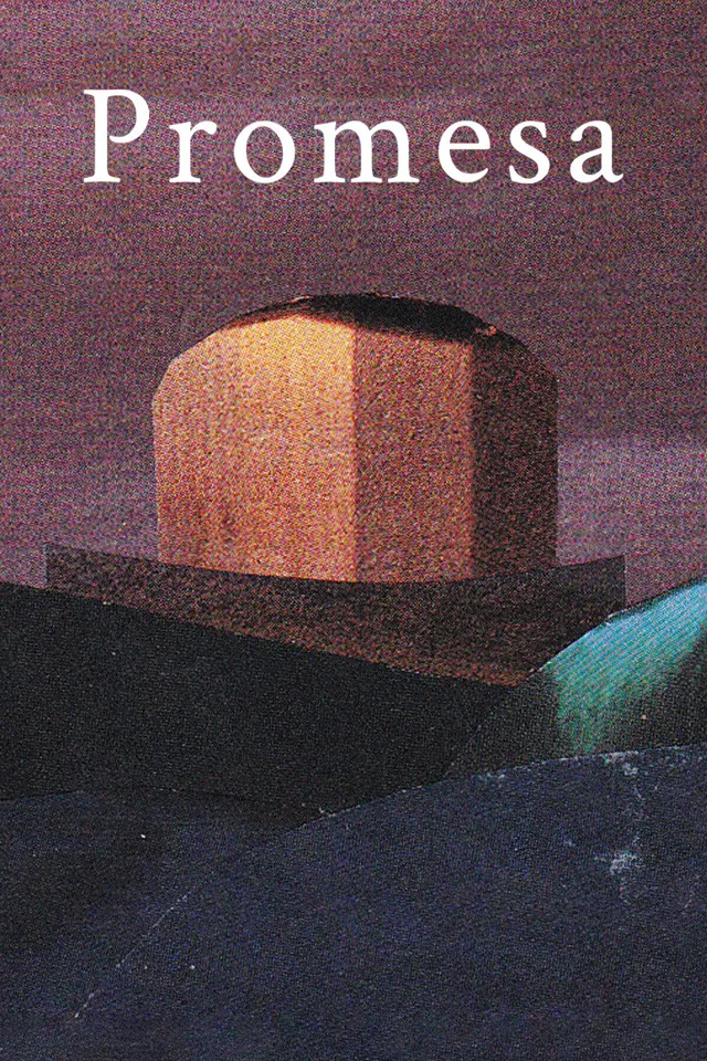 Copertina di Promesa
