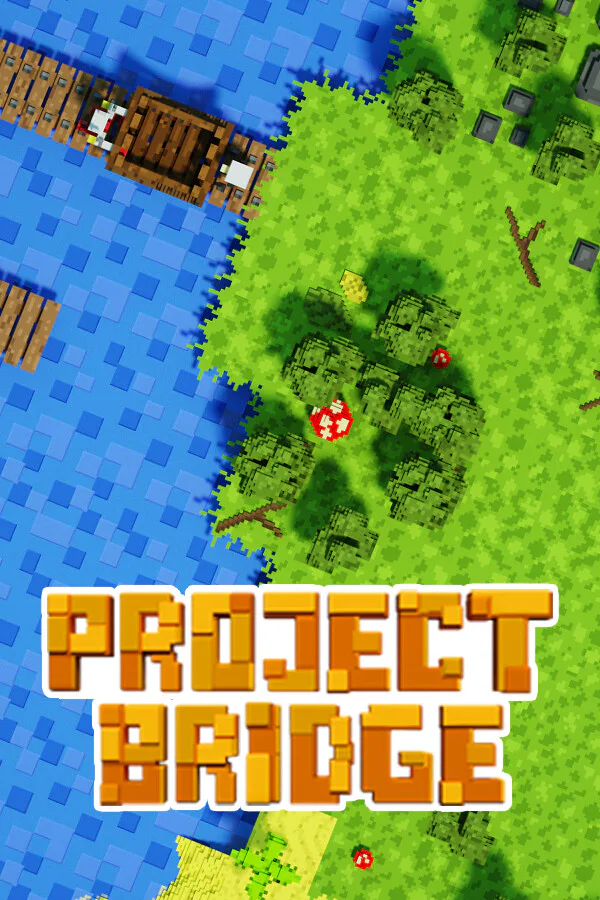 Copertina di Project Bridge